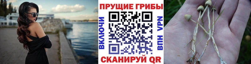 Галлюциногенные грибы MAGIC MUSHROOMS  Ясный 